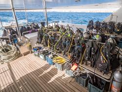 Red Sea Liveaboard Scuba Diving Holiday. Emperor Echo.